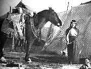 Mujer Aonikenk junto a su caballo