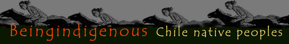 beingindigenous.org - Chilean Indigenous People